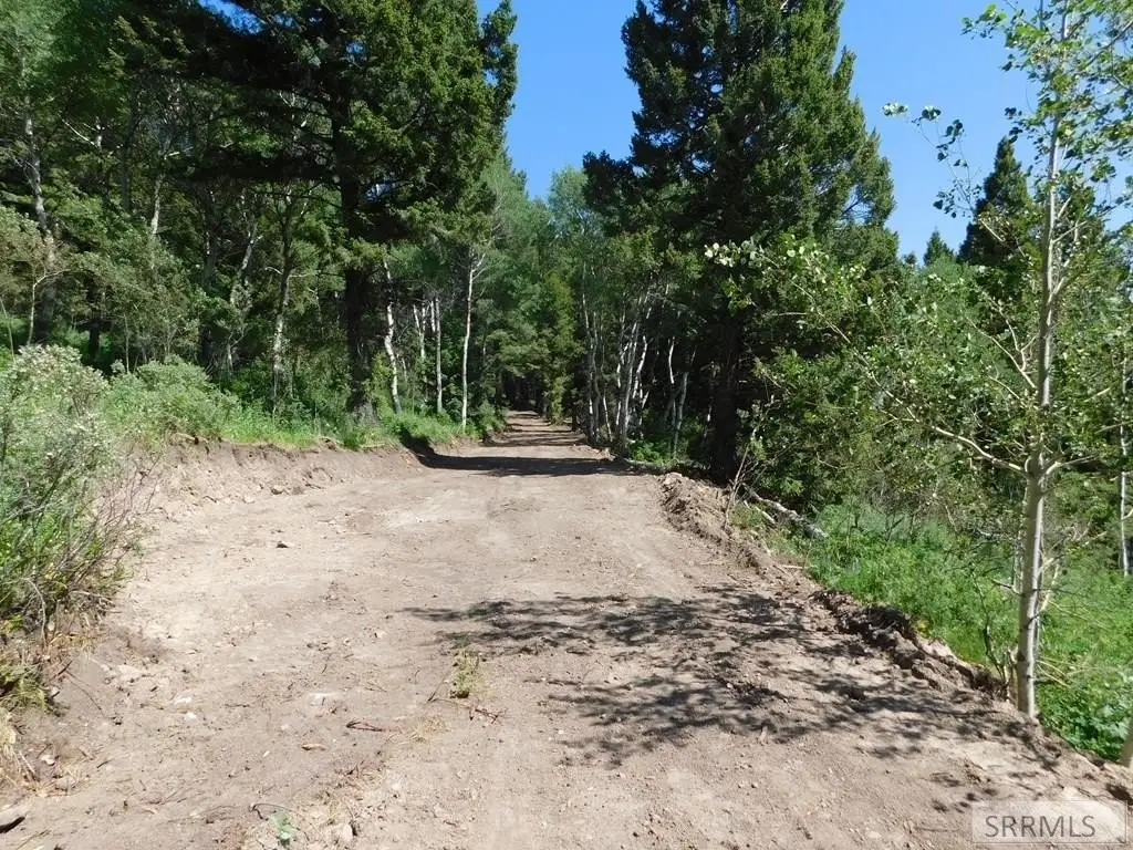 Picture 7