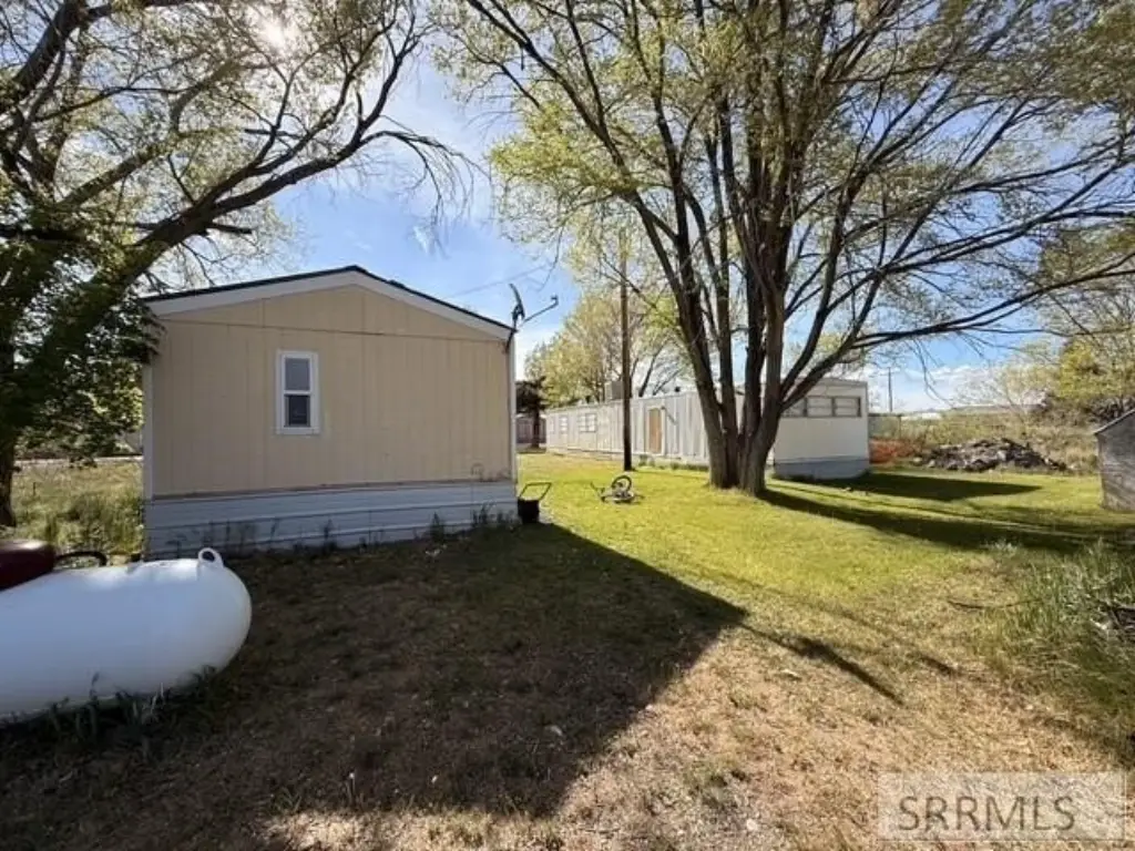 Picture 11