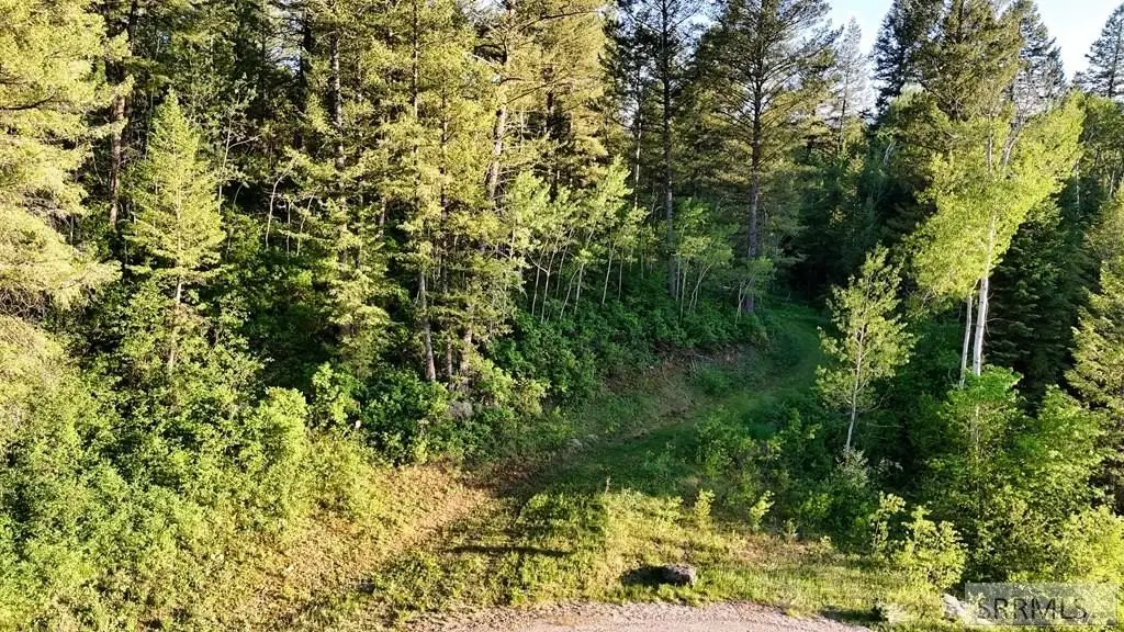 Picture 19