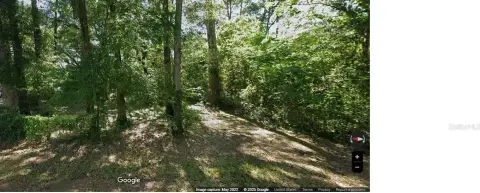 Ocala Park Estates Wooded Lot