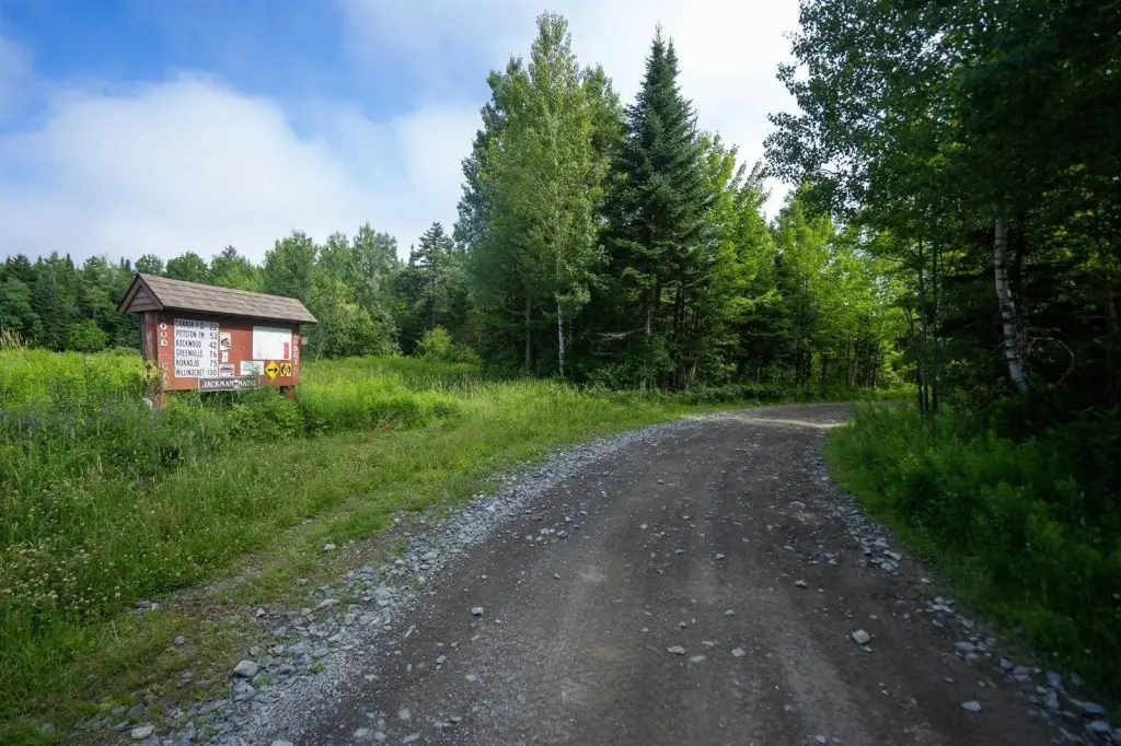 Picture 47