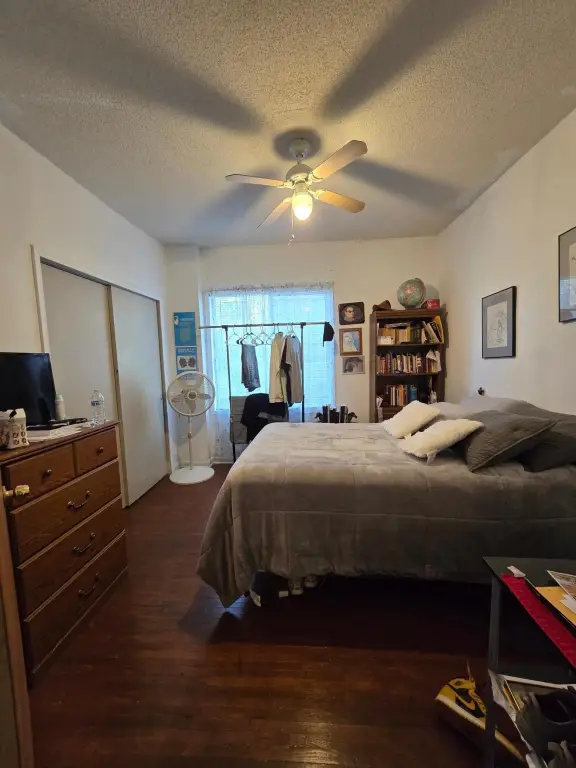 Picture 11