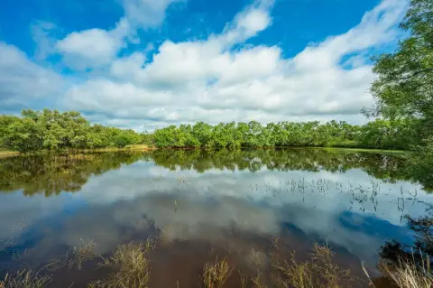 Llano County Ranch Land