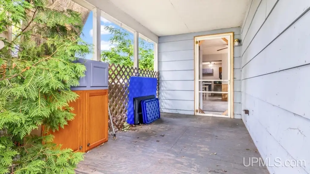 Picture 41