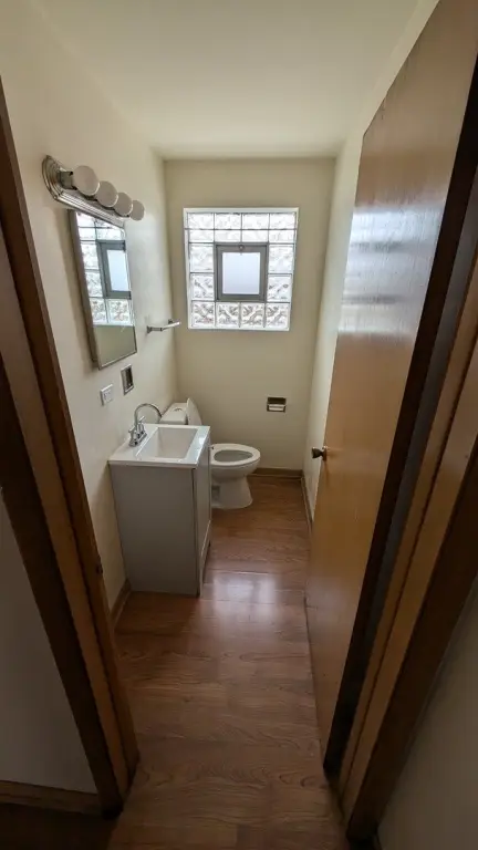 Picture 5