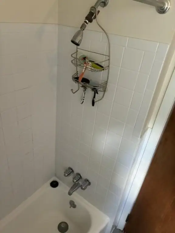 Picture 14