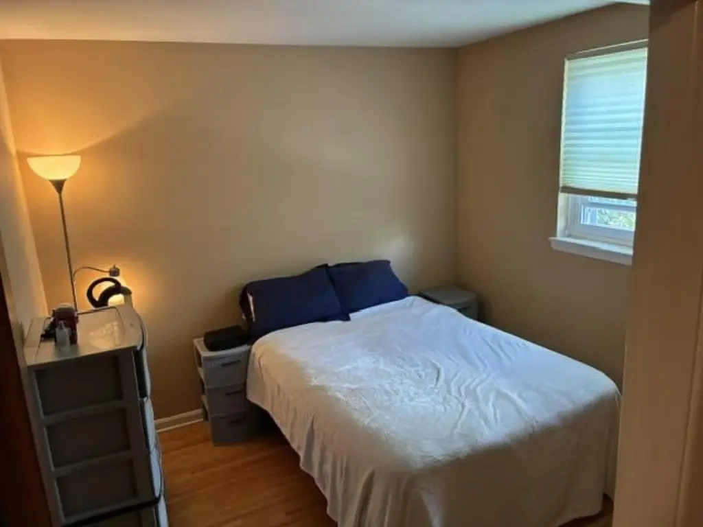 Picture 15