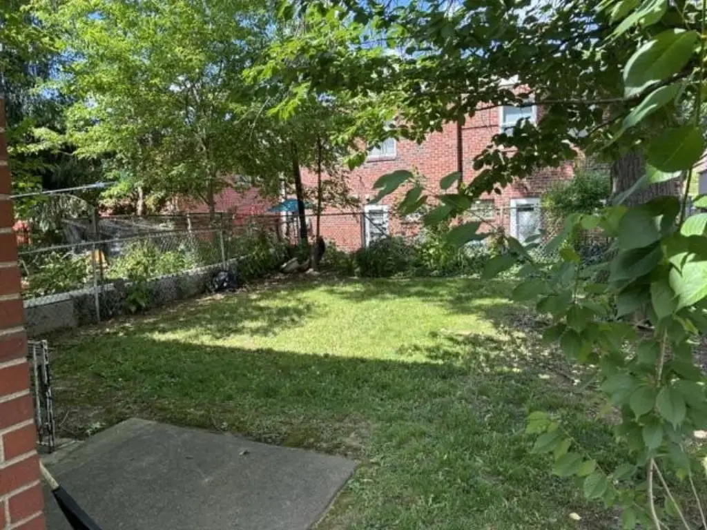 Picture 23