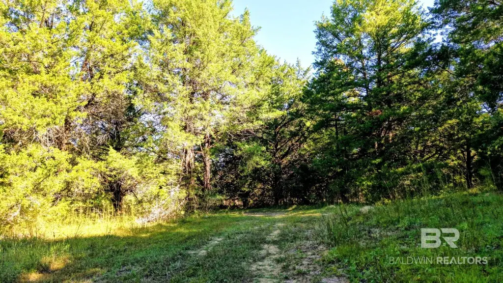 Picture 25
