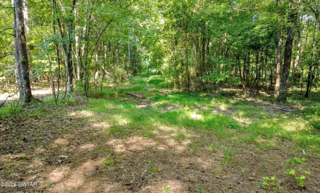 Picture 17