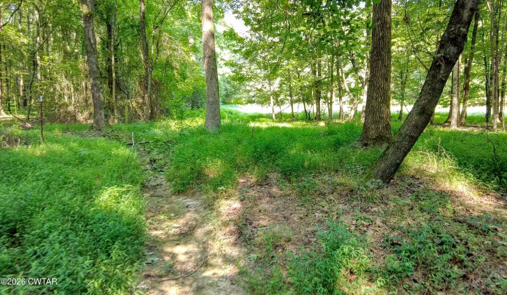 Picture 19