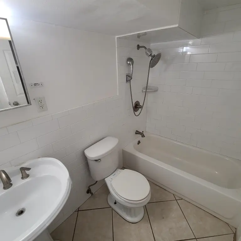 Picture 41