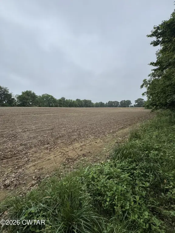 Picture 29