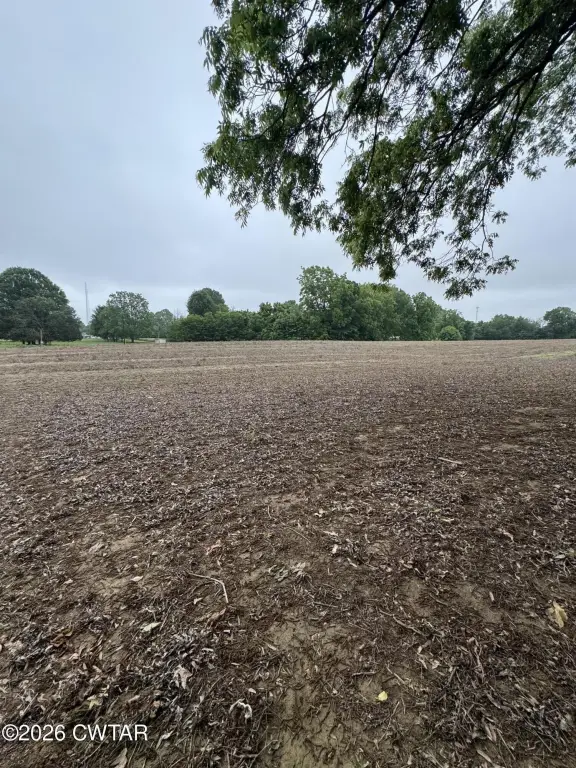 Picture 25