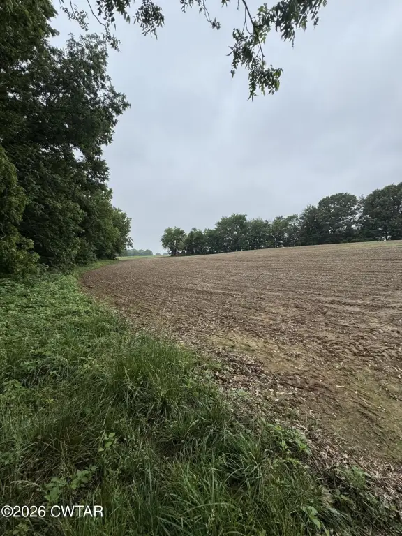 Picture 28