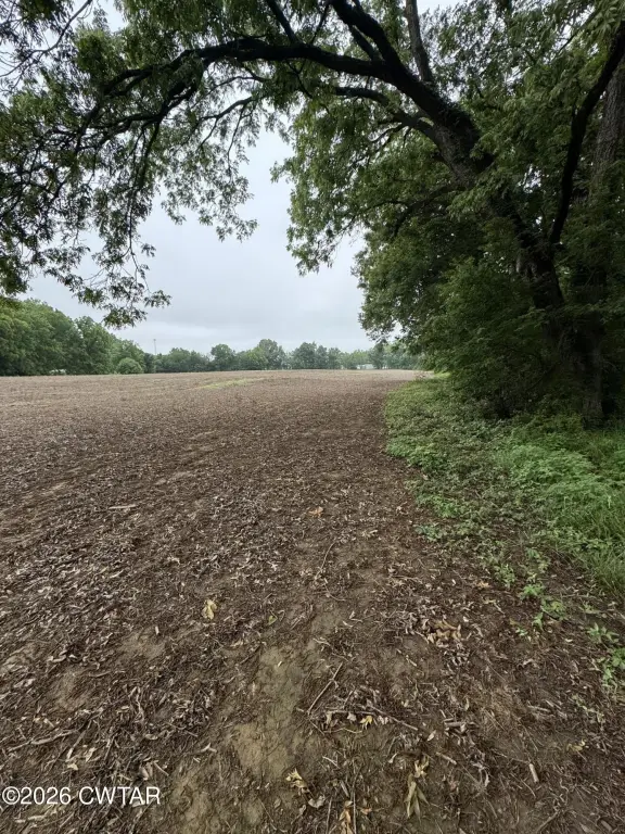 Picture 24