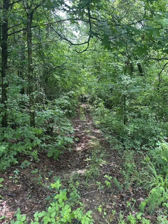 Picture 24