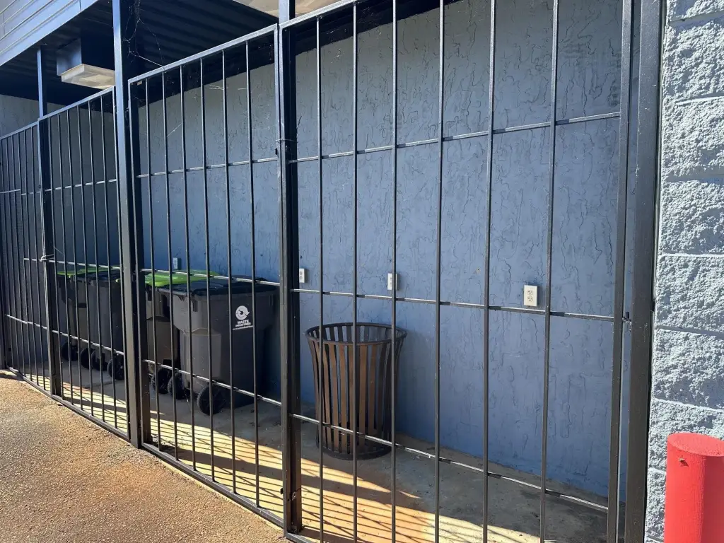 Picture 6