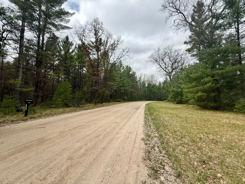 Picture 4