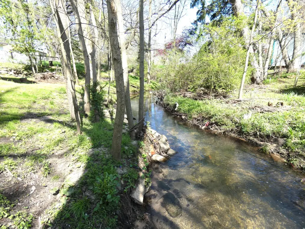 Picture 4