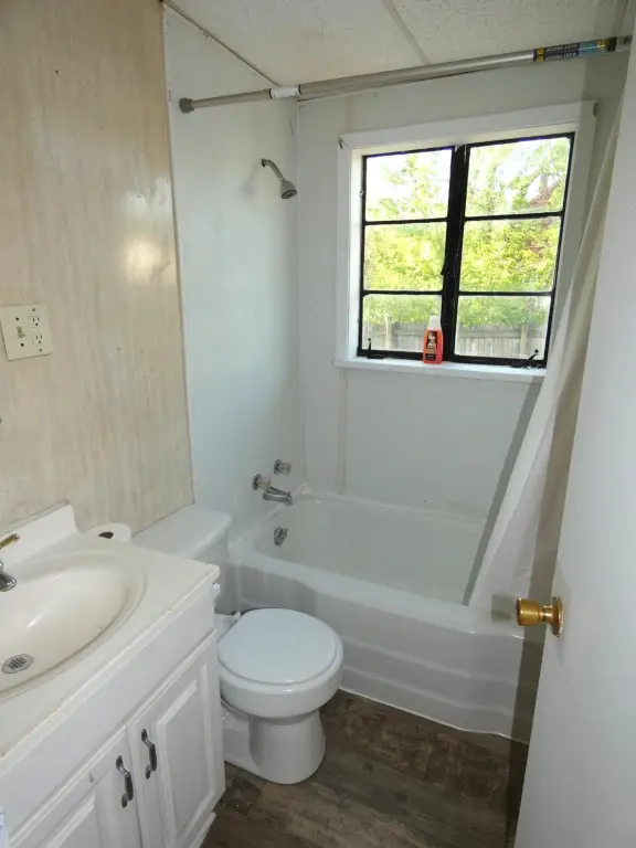 Picture 15
