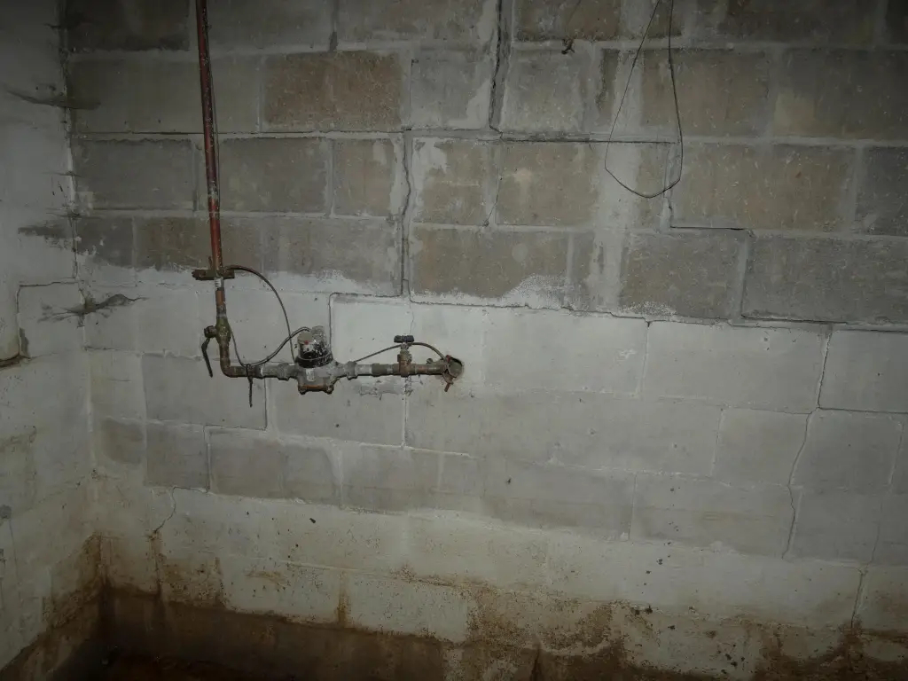 Picture 24