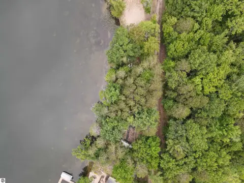 Wooded Waterfront Land