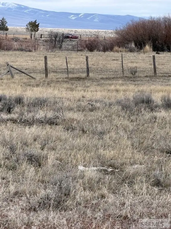 Picture 32