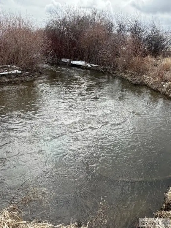 Picture 39