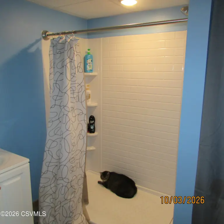 Picture 14