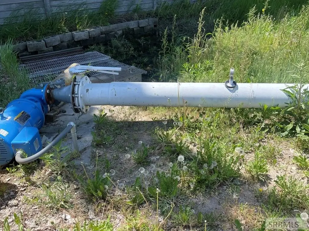 Picture 8
