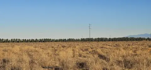 Rosamond Land Parcel For Sale