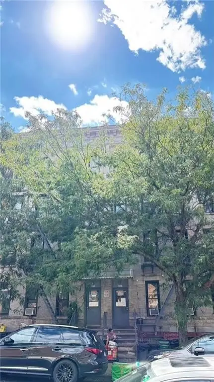 Picture 5