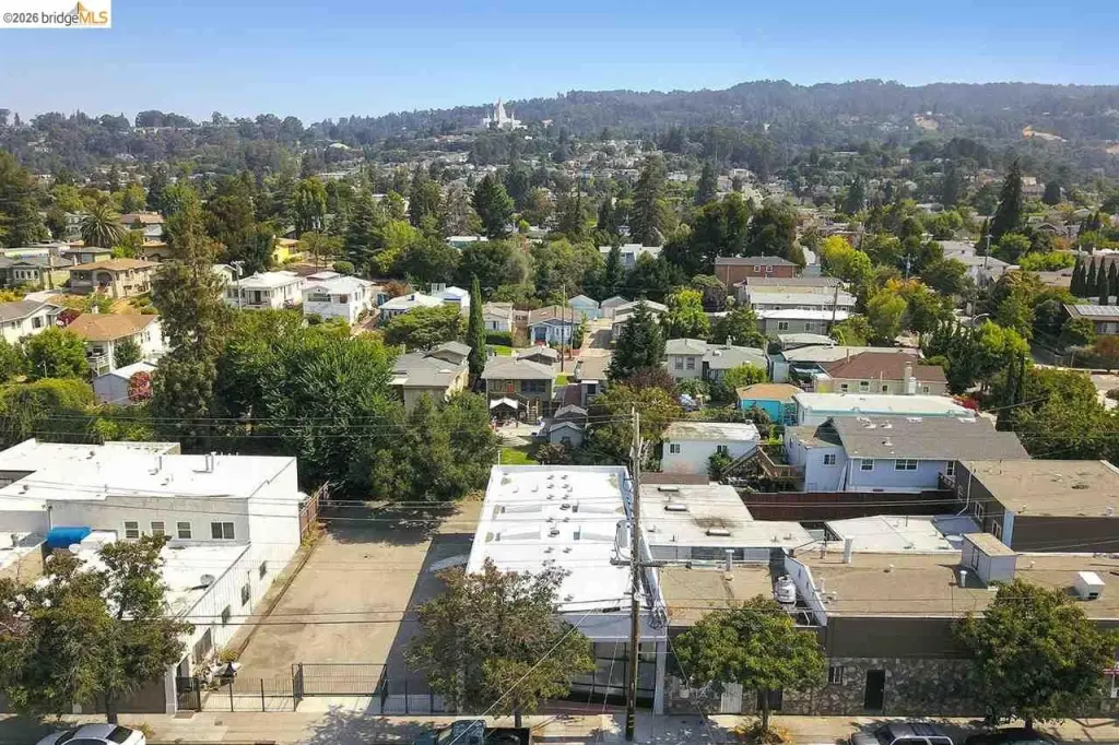 Picture 19