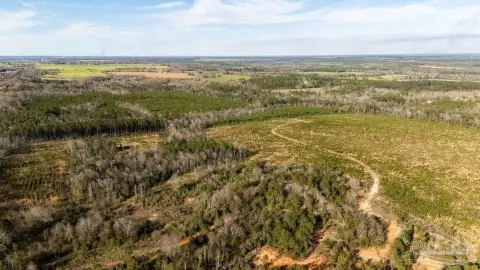 15 Acres of Timberland in Jay