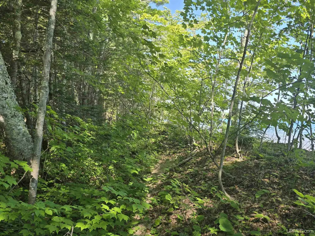Picture 41