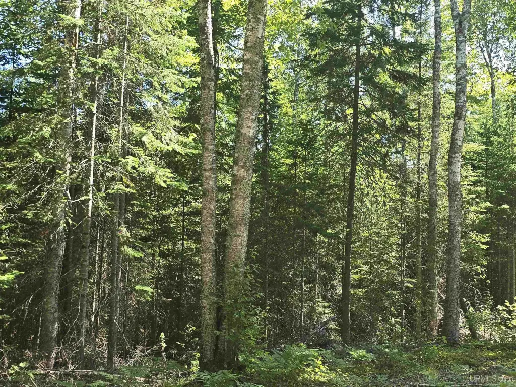 Picture 48
