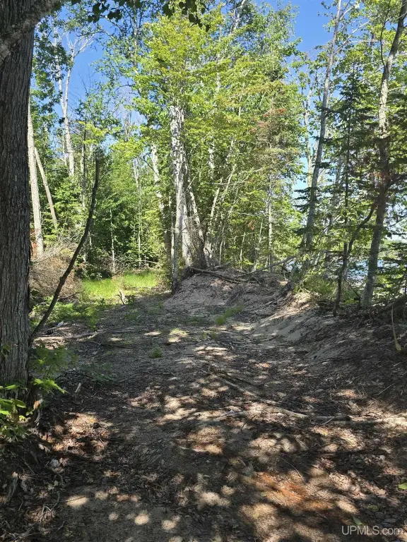 Picture 39
