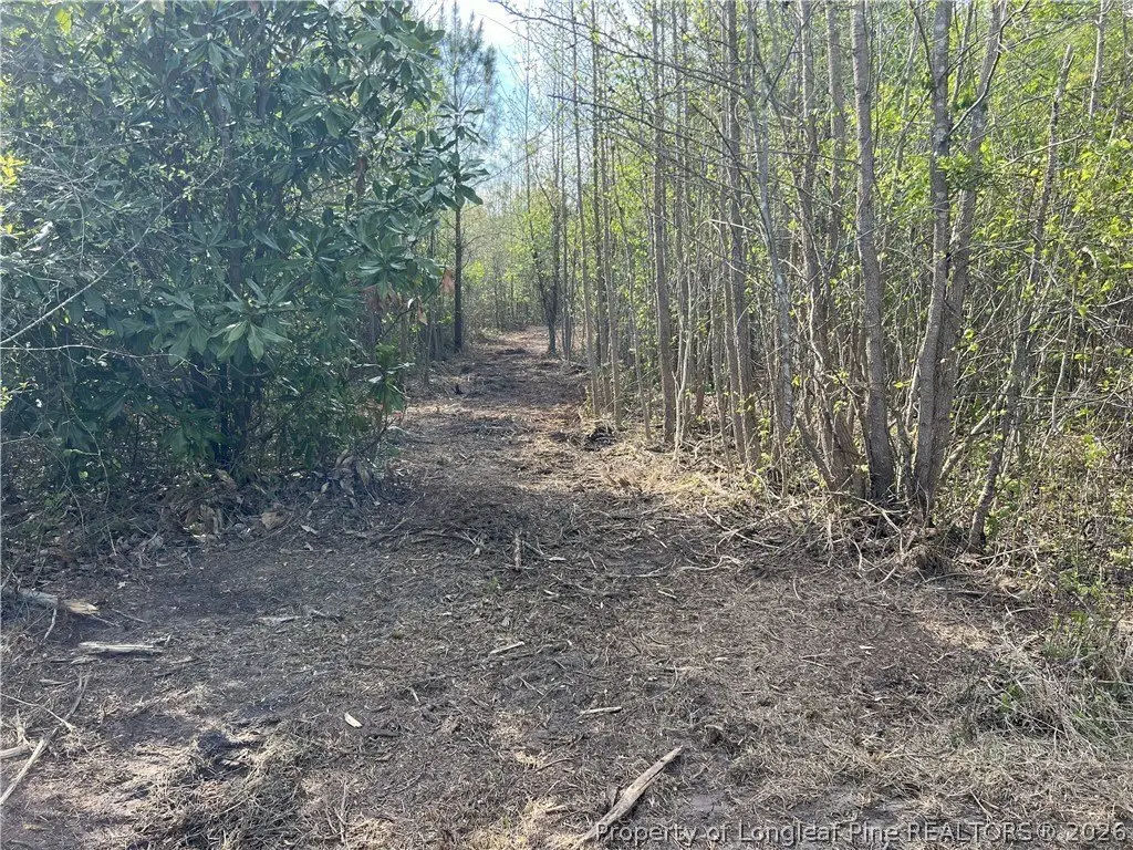 Picture 24