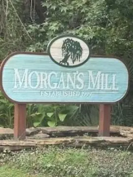 Buildable Residential Lot in Brunswick