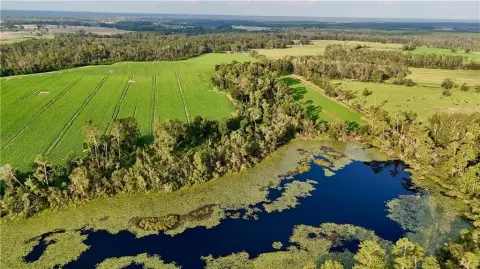 20 Acres for Country Living