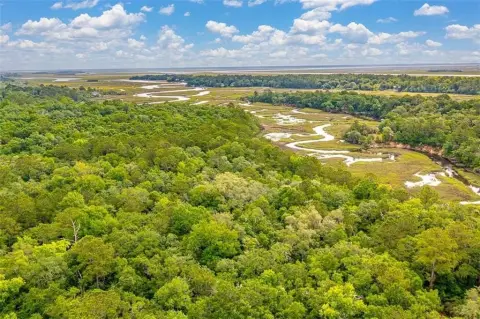Marsh View Acreage in Darien