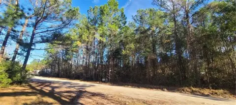 Residential Lot in Shellman Bluff