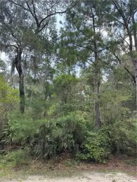 Residential Lot in Gated Community