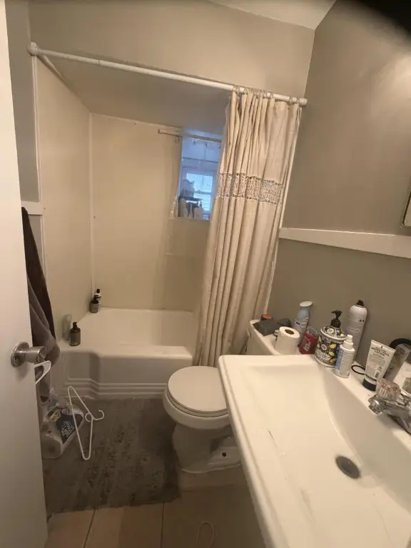 Picture 23