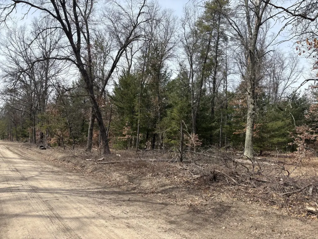 Picture 16