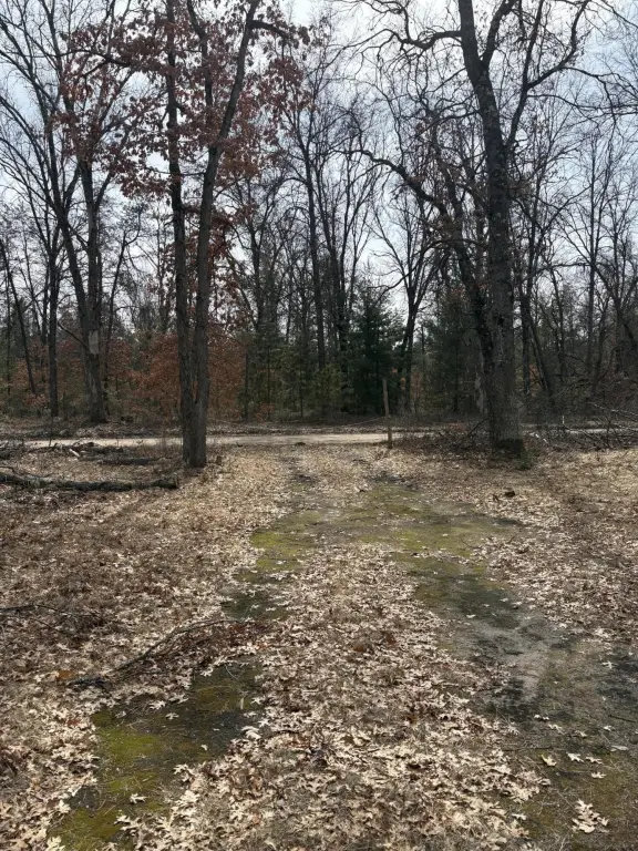Picture 15