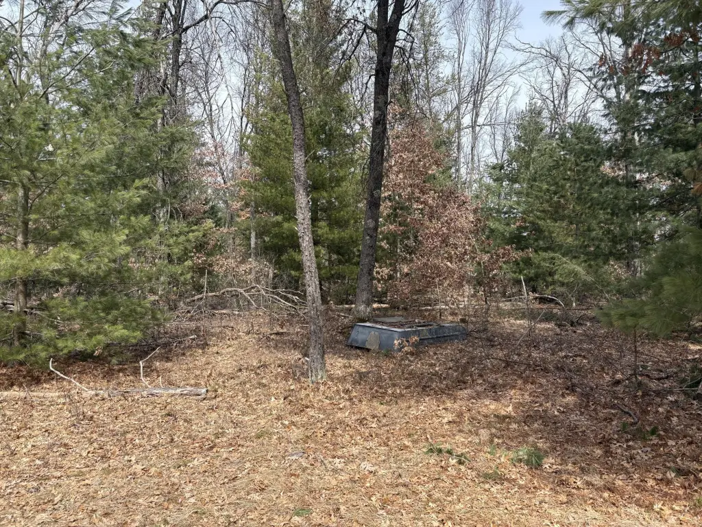 Picture 12