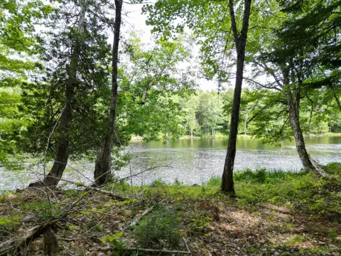 Waterfront Land with Three Shorelines