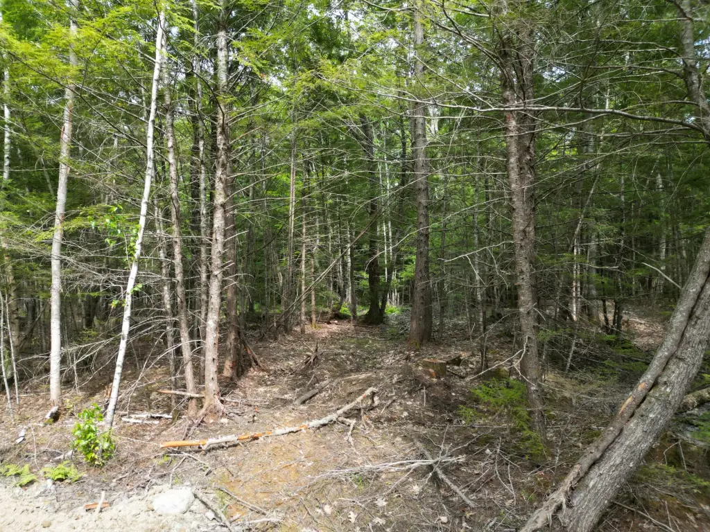 Picture 14